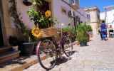 Algarve-_41