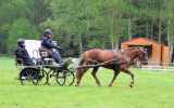 Attelage-08