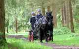 Attelage-14