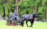Attelage-15