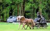 Attelage-21