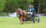 Attelage-22