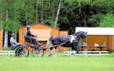Attelage-23