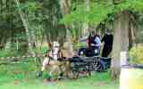 Attelage-27