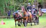 Attelage-28