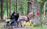 Attelage-32