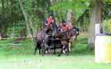 Attelage-33