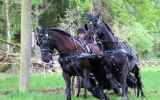 Attelage-39