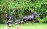 Attelage-40