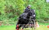 Attelage-41