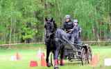 Attelage-42
