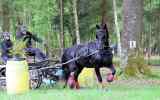 Attelage-43