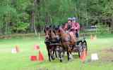 Attelage-44