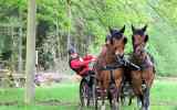 Attelage-45
