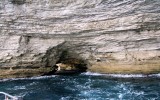 Bonifacio 2018_16