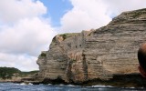 Bonifacio 2018_19