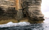 Bonifacio 2018_20