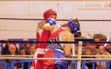 Boxe_2016_28