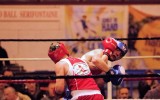 Boxe_2016_30