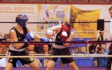 Boxe_2016_33