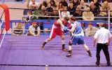Boxe_2016_49
