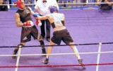 Boxe_2016_66