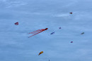 Cerf-volant de Dieppe  2018_01