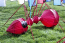 Cerf-volant de Dieppe  2018_26