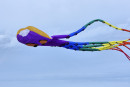 Cerf-volant de Dieppe  2018_44