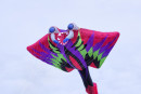 Cerf-volant de Dieppe  2018_46