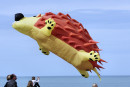 Cerf-volant de Dieppe  2018_47