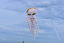 Cerf-volant de Dieppe  2018_48