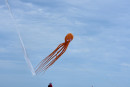 Cerf-volant de Dieppe  2018_49