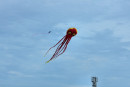 Cerf-volant de Dieppe  2018_50