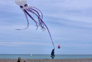 Cerf-volant de Dieppe  2018_54