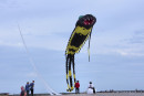 Cerf-volant de Dieppe  2018_55