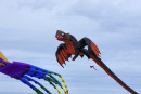 Cerf-volant de Dieppe  2018_56