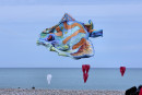 Cerf-volant de Dieppe  2018_57
