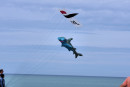 Cerf-volant de Dieppe  2018_60