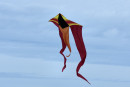 Cerf-volant de Dieppe  2018_62