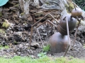 Château de Bois Guilbertl 2016_39
