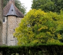cleres02