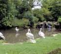 cleres13