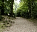 cleres19