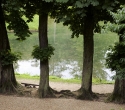 cleres28