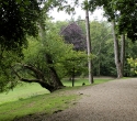 cleres29