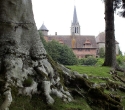 cleres33