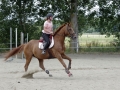 Club Hippique-Saint Germer de Fly   06