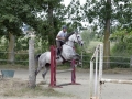Club Hippique-Saint Germer de Fly   15