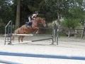 Club Hippique-Saint Germer de Fly   19